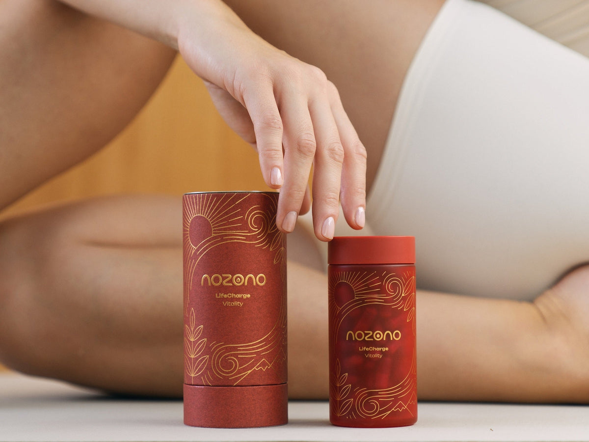 LifeCharge Nozono